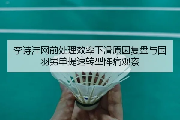 li-shi-feng-wang-qian-chu-li-xiao-lv-xia-hua-yuan-yin-fu-pan-yu-guo-yu-nan-dan-ti-su-zhuan-xing-zhen-tong-guan-cha-2-812.jpg