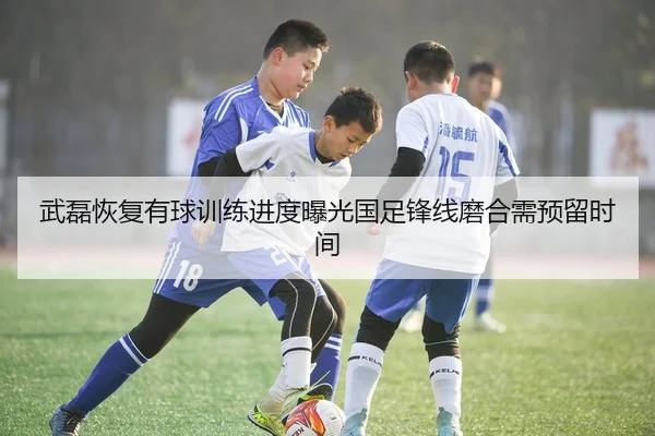 武磊恢复有球训练进度曝光国足锋线磨合需预留时间